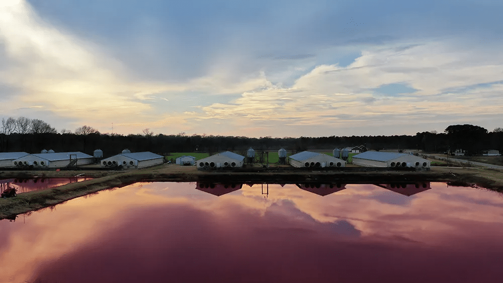 Horizon picture of a water treatment plant.
